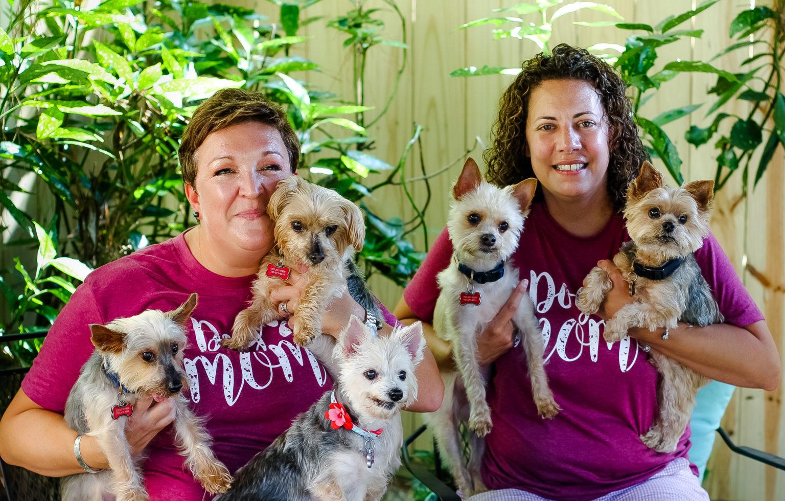 Volunteer With Us Compact Canine Rescue Volunteer With Us Compact Canine Rescue