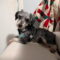 Stanley