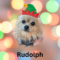 Rudolph