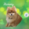 Harvey