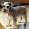 Roxy