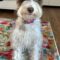 Tilly