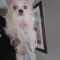 Cloe