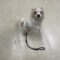 Cloe
