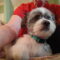 George
