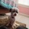 George