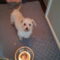 Sally