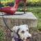 Tanya Tucker