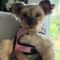 Stella Parton