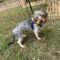 Murphy