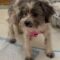 Lilah