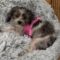 Lilah